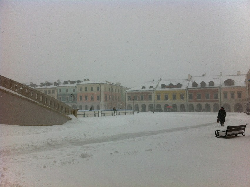 Zamość i region: Zima wróciła, ale najgorsze już za nami. ZDJĘCIA, RELACJA