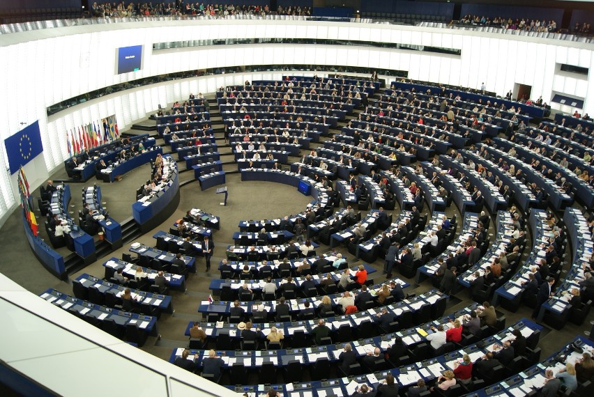 Forum Młodych PiS z Gniezna w Parlamencie Europejskim