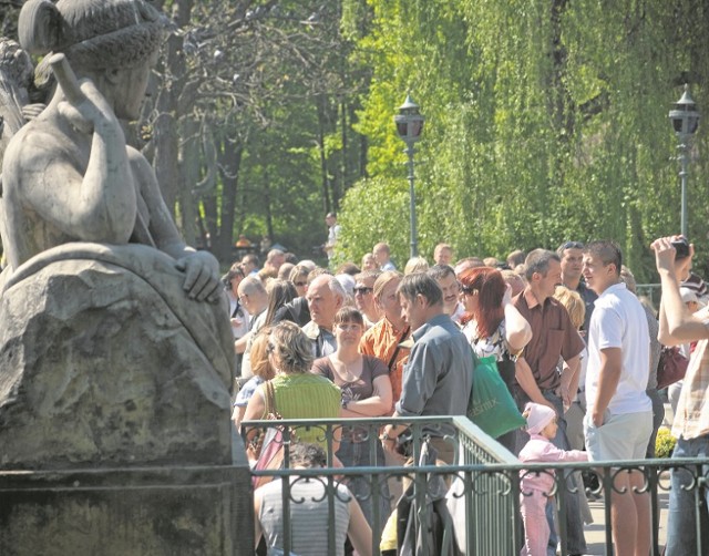 Majówka 2014.  Piknik Europejski w Łazienkach

1 maja mija 10 lat od wstąpienia Polski do Unii Europejskiej. Prezydent Bronisław Komorowski zainauguruje w Łazienkach Królewskich akcję sadzenia Dębów Wolności. W ramach Pikniku Europejskiego przez cały dzień odbywać się będą animacje dla dzieci i pokazy dla dorosłych w specjalnie przygotowanej strefie leżakowania w pobliżu Nowej Oranżerii, przy Podchorążówce i w Alei Chińskiej. Będzie też 10 tys. pączków.

Czytaj także: Wiosenny jarmark w Powsinie: Spędź majówkę wśród kwiatów!