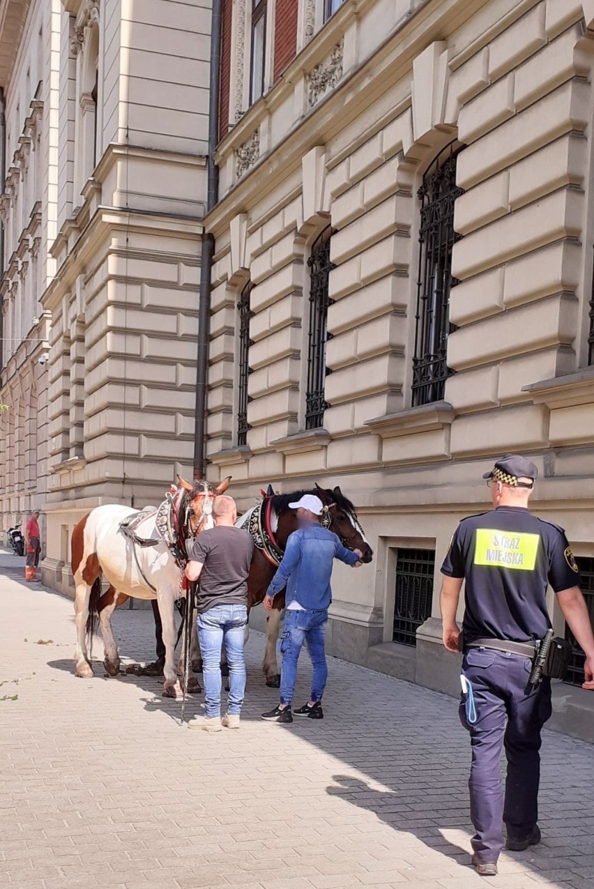 W Krakowie sceny jak z Dzikiego Zachodu