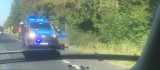 Pleszew. Kobieta znaleziona martwa przy drodze krajowej w gminie Pleszew 