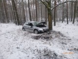 Niebezpieczne zdarzenie drogowe w Woźnikach. Osobowy peugeot wypadł z drogi i zakończył jazdę pod uderzeniu w drzewo ZDJĘCIA