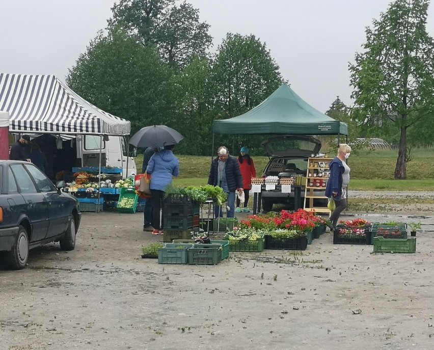 Opalenica. W sobotę targowisko  było dostępne dla wszystkich sprzedających [ZDĘCIA]