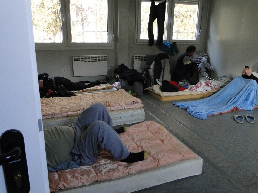 Przyszedł mróz i więcej bezdomnych trafia do schroniska w Radomiu
