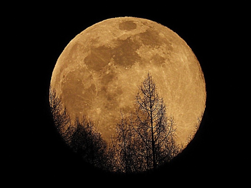 Superksiężyc nad muszyńskim Malnikiem na zdjęciach Artura Królikowskie