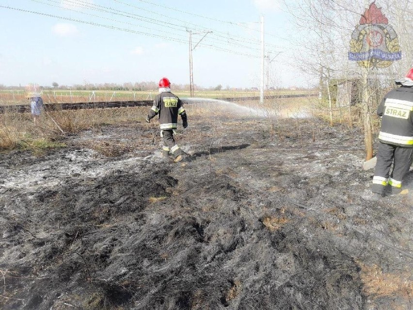 Pożar trawy przy torach w miejscowości Mokra 