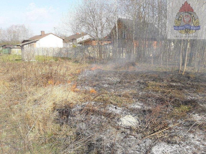 Pożar trawy przy torach w miejscowości Mokra 