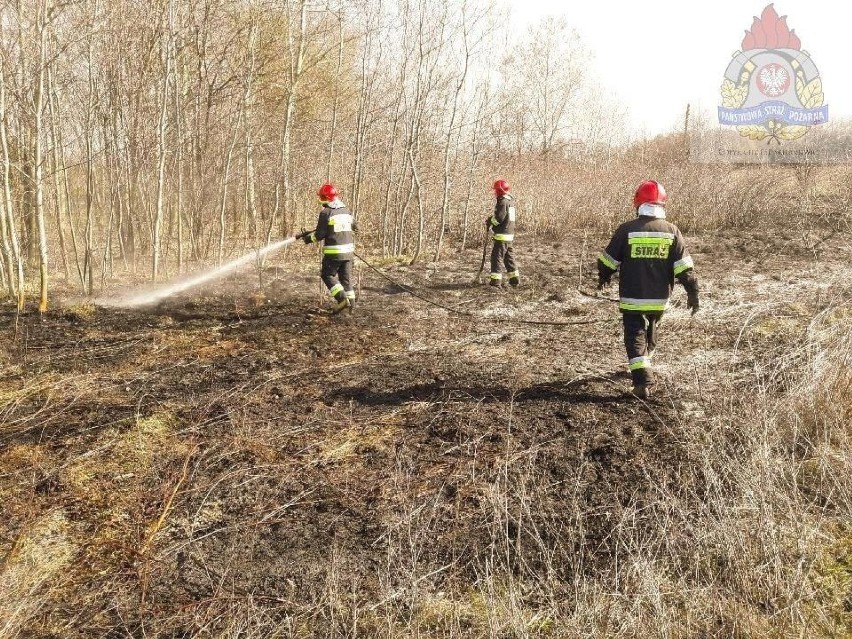 Pożar trawy przy torach w miejscowości Mokra 
