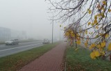 To już koniec złotej polskiej jesieni na Kujawach i Pomorzu – teraz mgły i coraz chłodniejsze dni