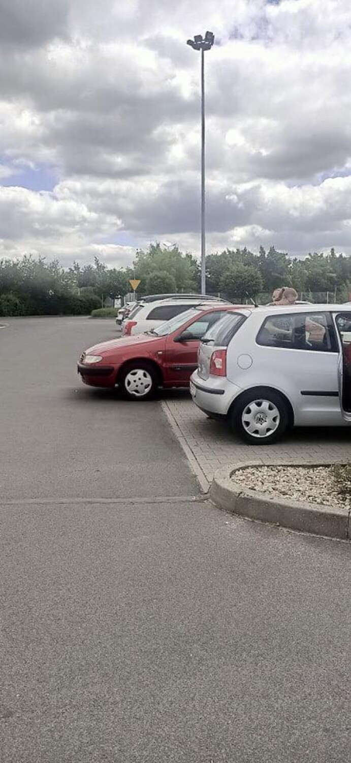 Tak parkują kierowcy w Opolu.