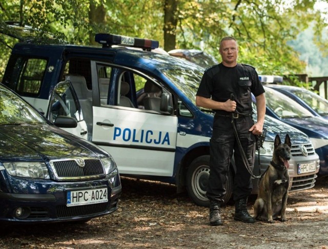 W odnalezieniu mieszkańca Brodnicy, który zgubił się w lesie, pomógł policyjny pies tropiący Iskra.