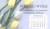 Pobierz i wyślij kartkę z życzeniami na imieniny Barbary. Nowe pionowe projekty idealne do MMS, Messenger i WhatsApp