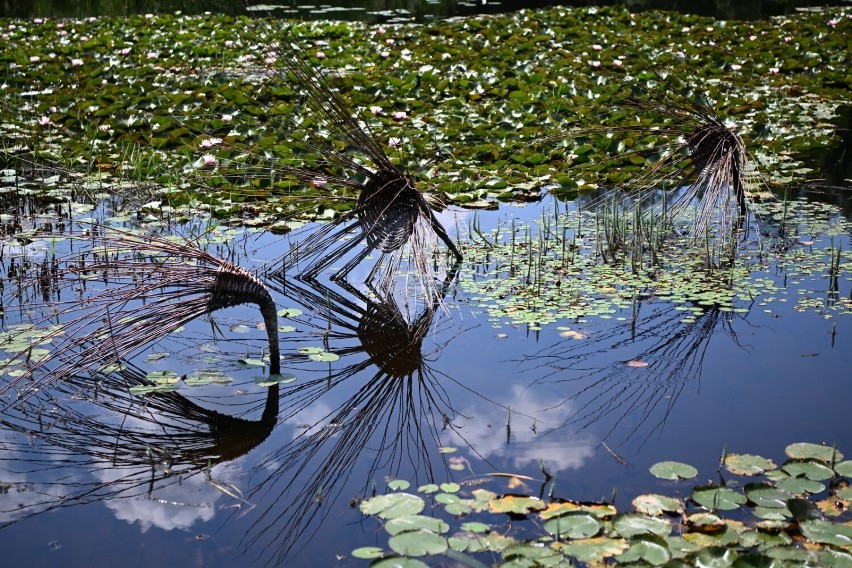 Klimatyczne rzeźby z wikliny w Arboretum w Bolestraszycach. Zobacz zdjęcia!