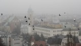 Smog i gęsta mgła nad Rzeszowem. Wskaźniki czystości powietrza wskazywały wysoki stopień zanieczyszczenia [ZDJĘCIA]