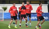 Polska - Niemcy, Euro 2016, gdzie oglądać mecz 16 czerwca? [TRANSMISJA NA ŻYWO]