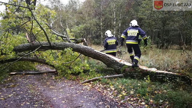 Strażacy z powiatu walczyli ze skutkami silnego wiatru