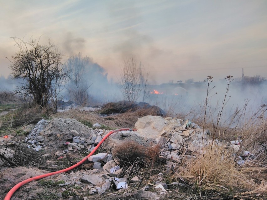Strażacy gasili w niedzielę pożar traw w Łęgonicach Małych w...