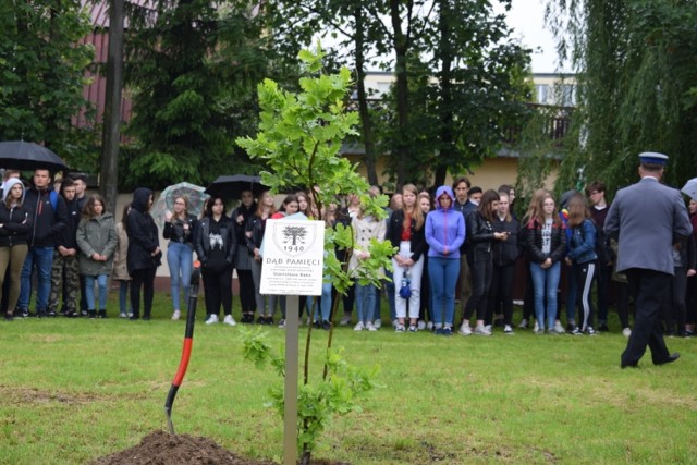 Wsadzono Dąb Pamięci starszego posterunkowego Stanisława Bąka