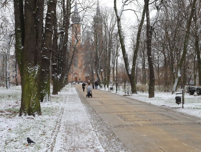 W Radomiu sypnęło śniegiem. Były to niewielkie opady ale w mieście zrobiło się biało. Najładniej prezentują się parki, tam jest najwięcej białego puchu.