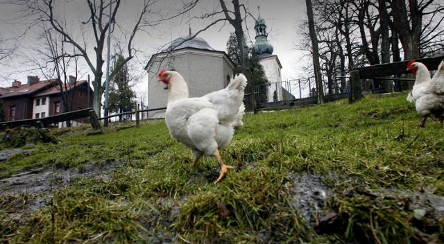 Jakie są najmniejsze wsie w powiecie Zgierskim? Sprawdź!