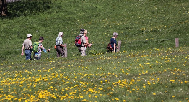 Oddział Przewodnicki PTTK w Malborku organizuje 4 maja pieszą wycieczkę "Spacerkiem po Twierdzy Malbork".