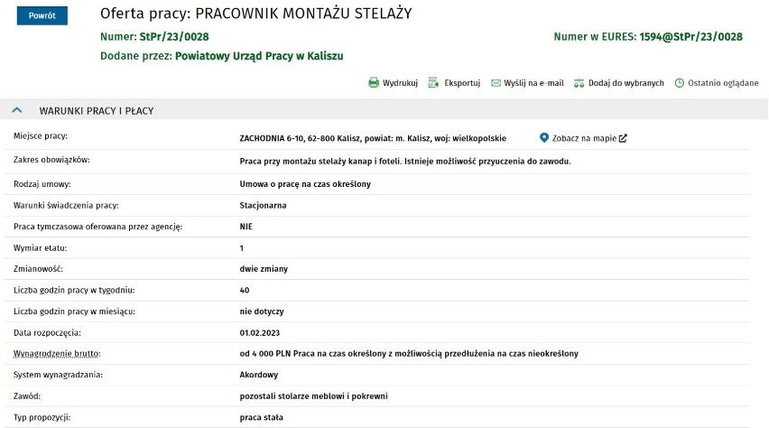 Szukasz pracy w Kaliszu? Oto najnowsze oferty 