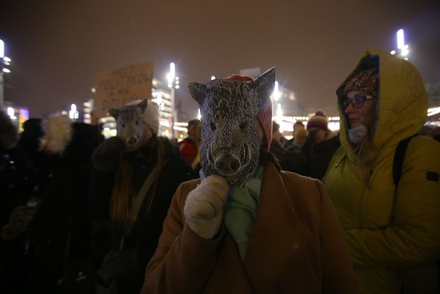 „Nie dla masowego odstrzału dzików” - demonstracja w Katowicach