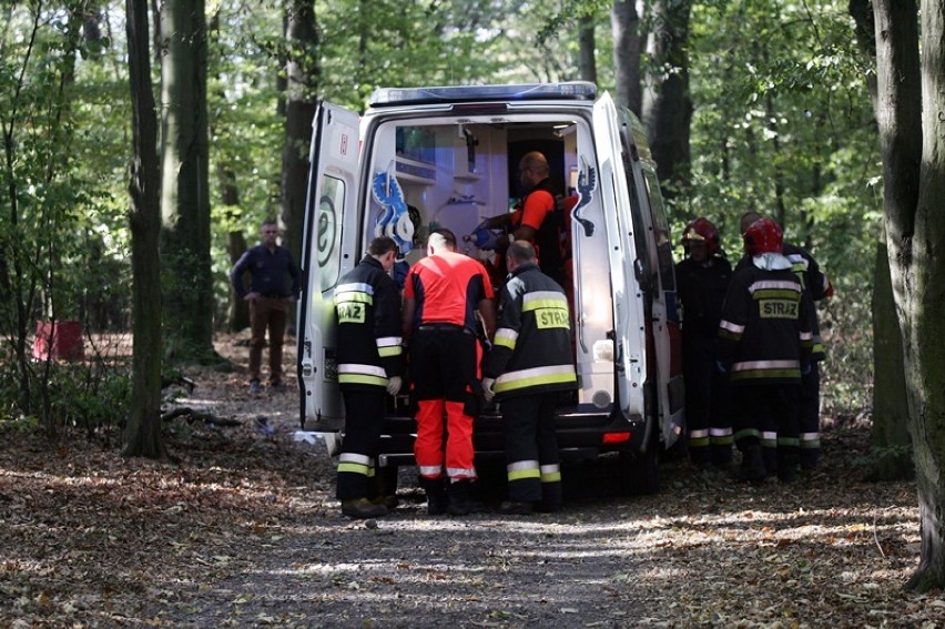 Dramat w Lasku Złotoryjskim, konar ranił chłopca [ZDJĘCIA]