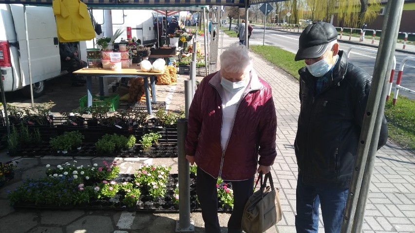 Wiosenne akcenty na chodzieskim targu. Sezonowa oferta tutaj zawsze świeża