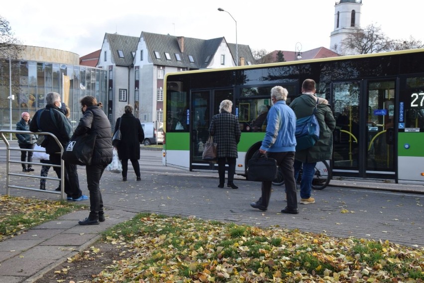 W Zielonej Górze powstają zielone przystanki autobusowe,...