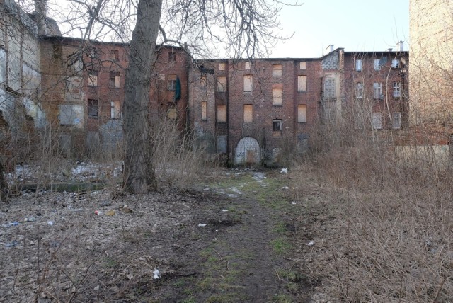 Bytomskie podwórka w obiektywie Arkadiusza Goli, fotoreportera DZ

Zobacz kolejne zdjęcia. Przesuwaj zdjęcia w prawo - naciśnij strzałkę lub przycisk NASTĘPNE