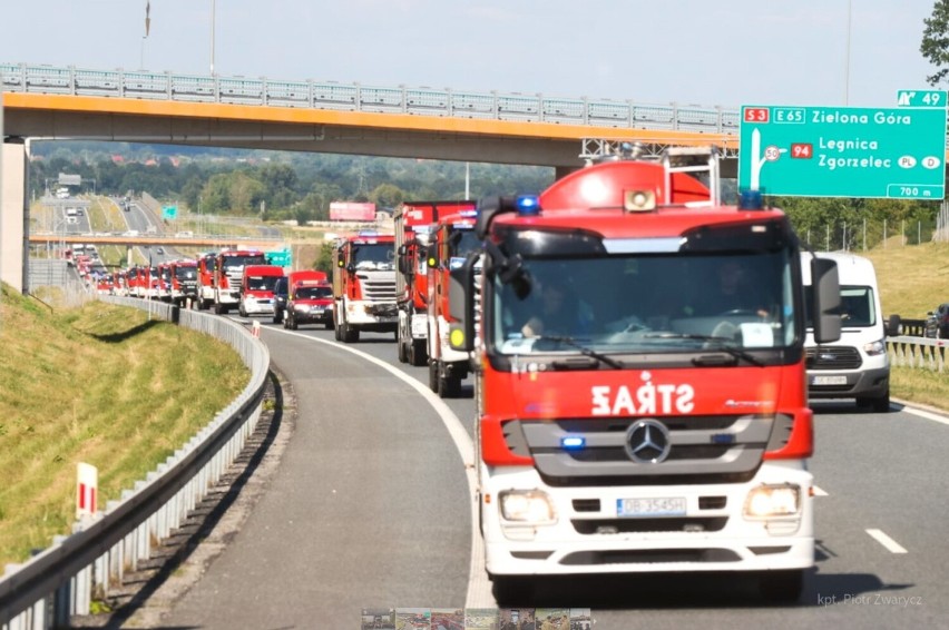 Strażacy z Goleniowa wyjechali do Francji. Pomogą w gaszeniu pożaru lasów