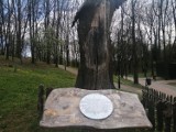 Ścieżka przyrodniczo-edukacyjna w Parku Piszczele w Sandomierzu przeszła gruntowny remont [ZDJĘCIA]