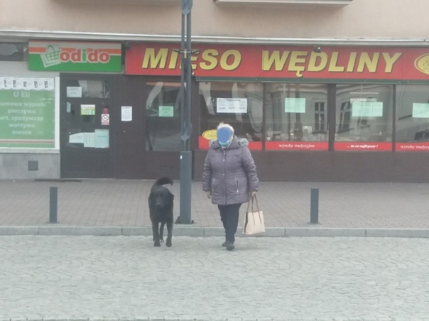 Piękny przyjazny psiak przywałęsał się do centrum miasta....
