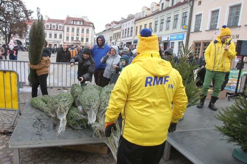 Co roku Radio RMF rozdaje świąteczne choinki.