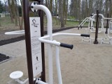 W Parku Miejskim w Malborku powstała plenerowa siłownia [ZDJĘCIA]