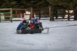 Terminy ferii zimowych 2022. Sprawdź, kiedy będą ferie zimowe w poszczególnych województwach w roku szkolnym 2021/2022 