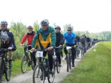 Szlaki rowerowe Kujaw i Pomorza. Zobaczcie, jak wygląda Wiślana Trasa Rowerowa [zdjęcia]