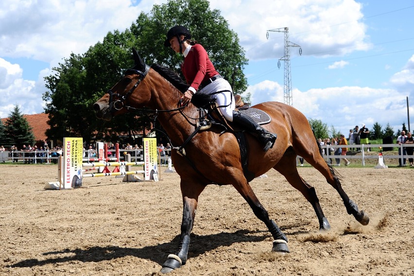 Amatorskie zawody jeździeckie w skokach przez przeszkody w Jaśle