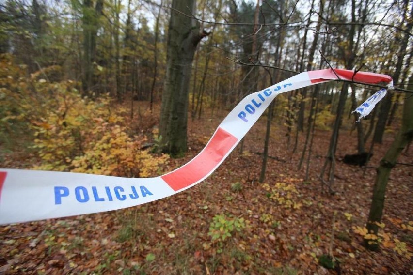Gmina Piątek: W lesie znaleziono zwłoki mężczyzny....
