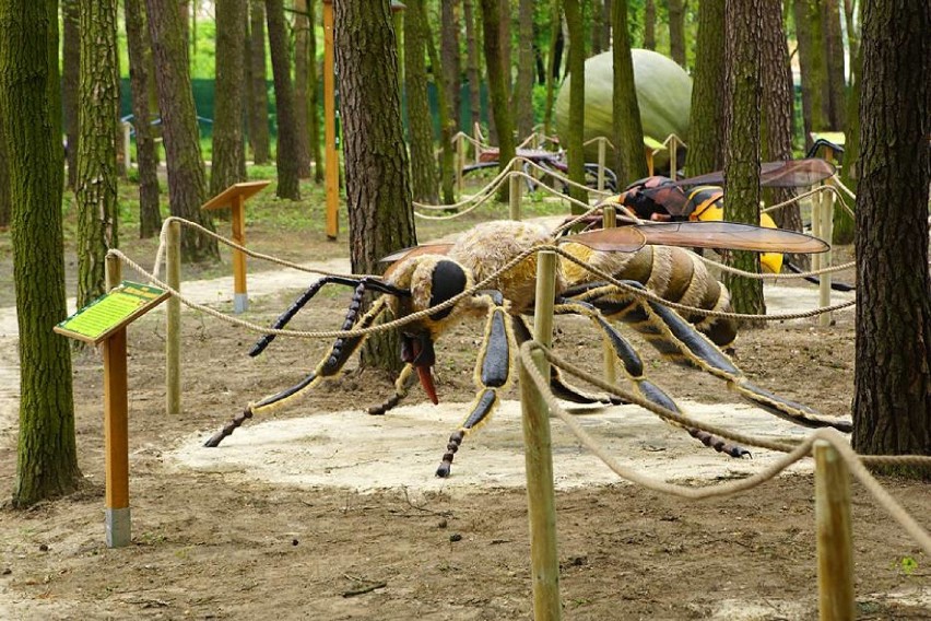 Park Olbrzymich Owadów powiększył się o... grzyby [FOTO]