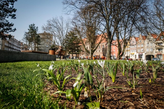 Jaka będzie pogoda w weekend 14-15.04.2018 na Pomorzu? Wiosenna!