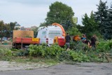 Otwarcie galerii Hosso w Żarach. Ruszyły prace na terenie dawnej Dekory, galeria ma być czynna już w przyszłym roku