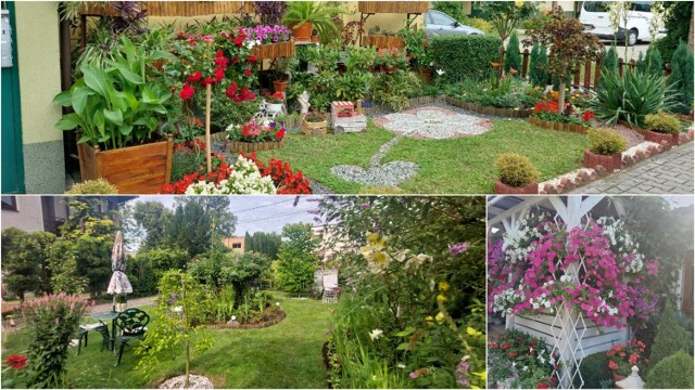 W konkursie "Zielony Tarnów" nagrodzony właścicieli najpiękniejszych ogrodów i balkonów w mieście.