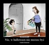 Halloween 2016. Najlepsze memy [śmieszne obrazki]