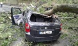 Brzeg: Drzewo spadło na jadące auto. Dwie osoby w szpitalu