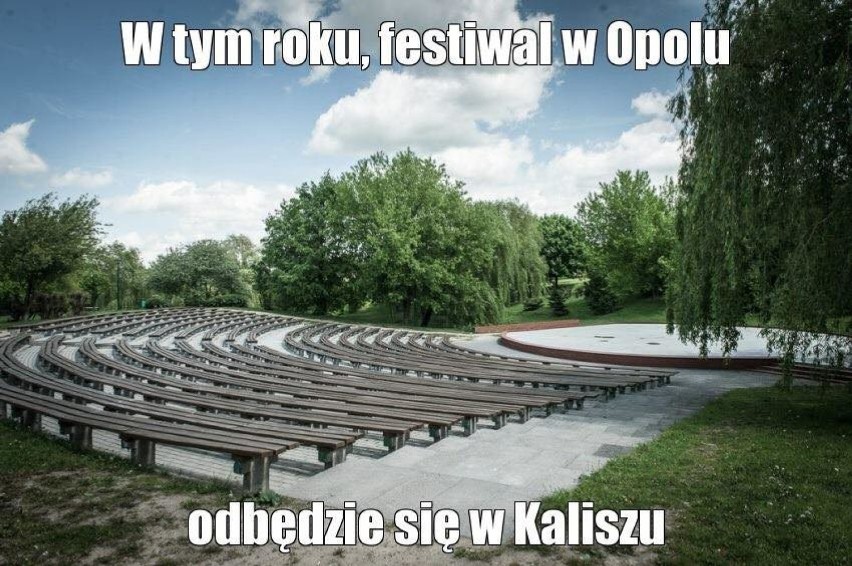 Festiwal Opole 2017 - gdzie się odbędzie? Kielce, Radom a może Toruń? [MEMY]