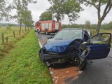Darłowo: Śmiertelny wypadek samochodowy - uderzenie Opla w przydrożne drzewo [ZDJĘCIA]