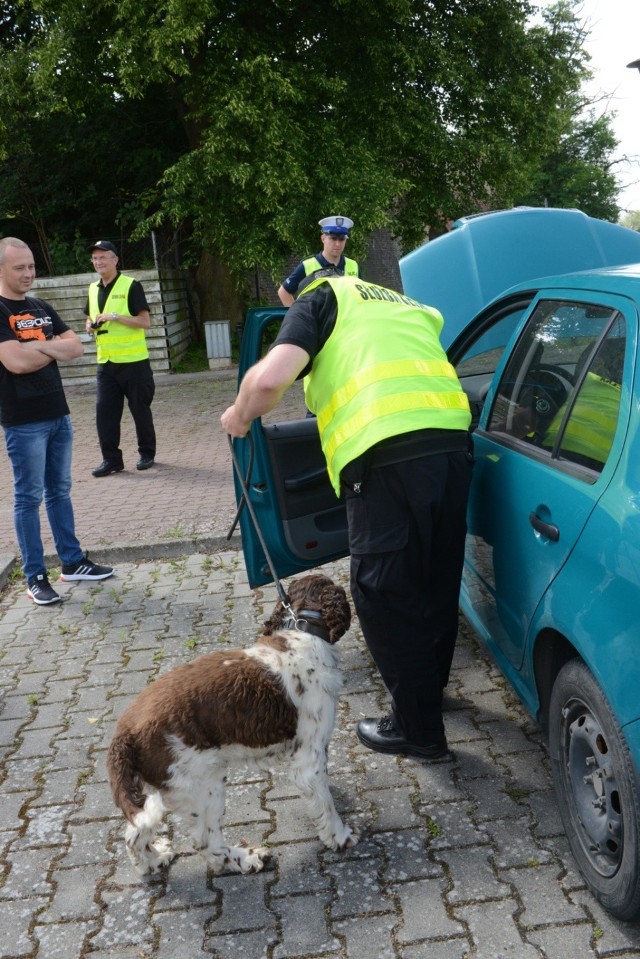 Zdjęcie ilustracyjne