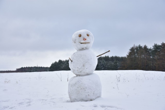 Pałuckie lasy, pola i jeziora w zimowej odsłonie.